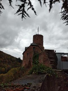 FeWo-Am-Nationalpark-Eifel - Nideggen - 8