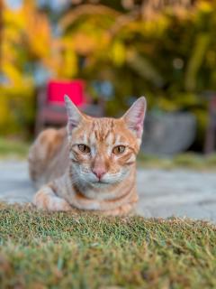 Kite Eco House Salinas del rey - 3
