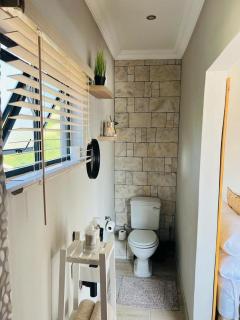 Bird Nest Lodge - Durban - 6