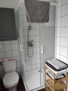 maison julius aeroport tillé 2 a 4 personnes - Tillé - 6