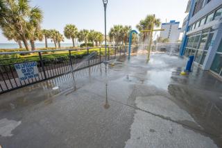 New 1 BR Ocean Front Views and Poolside Paradise - 8