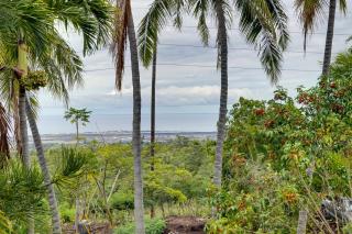 Breezy Kailua-Kona Bungalow with Lanai and Ocean View! - Kailua-Kona - 7