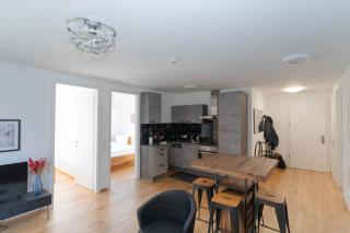 Luxurious apartment with big balcony near city center - Vienne - 1