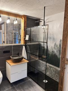 Apartment Fabelwald Black Forest - Schonach - 9