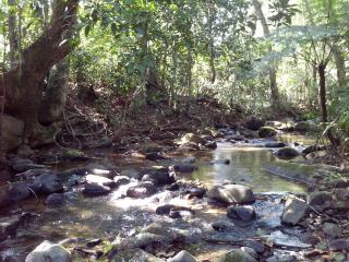 Pousada Arboretum - Penedo - 4