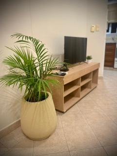 Gertrudis - Central Point Apartments - Salta - 7