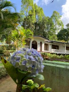 Eeshani Guest Inn - Ella - 9