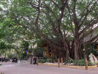 Luxury Condo between 5th Avenue and the Beach - Playa del Carmen - 1