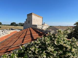 Masseria Contursi - Donna Camilla - 6