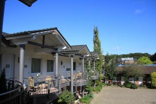 Waldhotel zum Bergsee Damme - Damme - 1