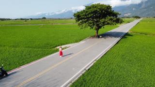 Mi Xiang Homestay - 3