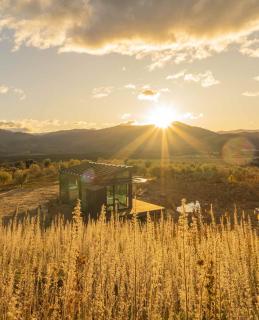 Haurapa PurePod - Cromwell - 0