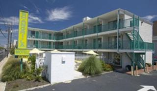Shangri-La Motel - Ocean City - 0