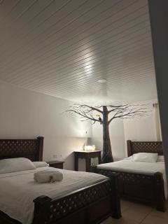 Hotel Pacande B&B - Alajuela - 8