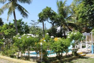 VILA LUMAR - Coroa Vermelha - 7