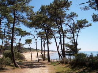 Villa L'Acacias - Longeville-sur-Mer - 9