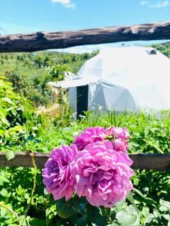 Ventosa HomeFarm - Venuestay - 8