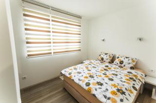 Apartment Nevena - Belgrado - 0