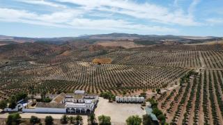 Cortijo Doñana - La Puebla de Cazalla - 9