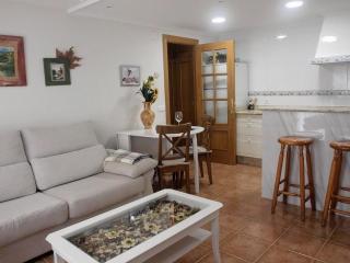 Apartamento pet friendly en Ezcaray, con piscina - Ezcaray - 2