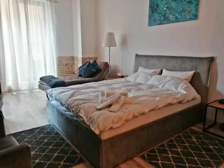 Belvedere Studio - Braşov - 5