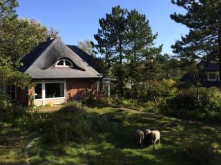 Ferienhaus Bonita - Ein Traum in Bestlage - Wittdün - 8
