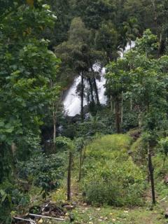 ATTIMARA HOMESTAY - 7