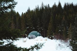 Golden Circle Domes - Glamping Experience - Selfoss - 0