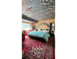Travellers Homestay, Pahalgam - Pahalgām - 8