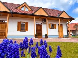 Miadora apartments - Apartma Prekmurska hiška - Moravske-Toplice - 9