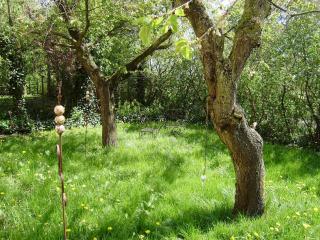 Hotel garni Godenhof - Wanderup - 5