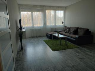 Palota Apartman - Gödöllő - 3