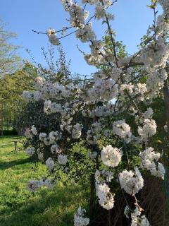 Cascina Bellaria - Milan - 2