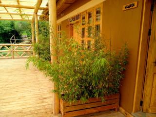 Keije Resort Bunyonyi - Kabale - 4