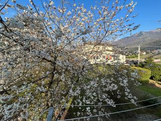 Casa Vacanze Revè - Possagno - 2