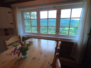 Gaulabua - cozy cabin by the river Gaula - - 5