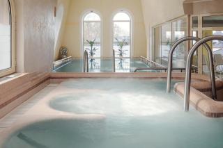Humboldt Park Hotel & Spa - Karlovy Vary - 7