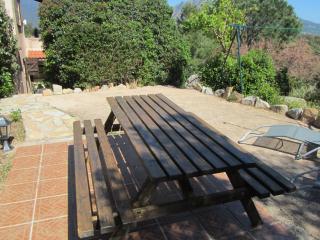 appartement climatisé 35 m2 pour 1 couple et 1 enfant piscine partagée - Porto-Vecchio - 5
