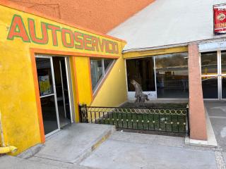 Hotel Ojo de Agua - - 1