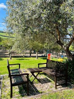 Agriturismo Silis - Sennori - 5