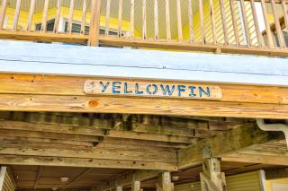 Yellowfin & Zebrafish - Buxton - 4