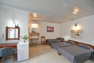 Delfini Hotel - Hydra - 6