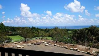 Maetakeso - Yakushima - 5