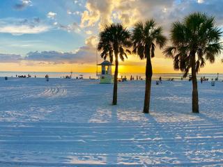 RV Camper Paradise on the Wheels Near Clearwater Beaches - Largo - 3