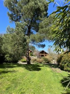 Countryside 3 Bedroom Log Cabin With Private Hot Tub - Ash - Leominster - 3