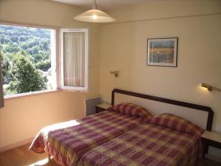 Family Hotel - Vic-sur-Cère - 7