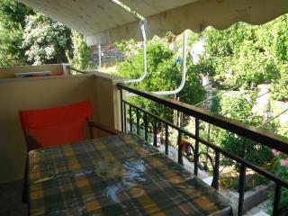 Dimitris Apartments - Vasiliki - 5