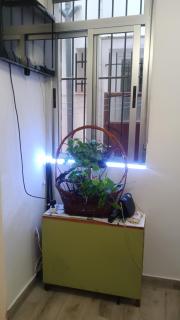 Apartamento Alicia - 7