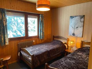 Appartement T3 cosy avec balcon, proche pistes de ski, parking, cheminée et WIFI - La Clusaz - FR-1-459-201 - La Clusaz - 4