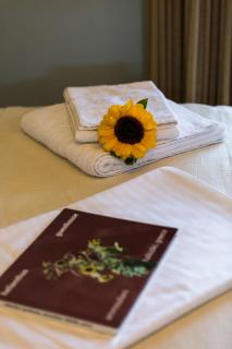 Helianthus Guesthouse - Amolianí - 1